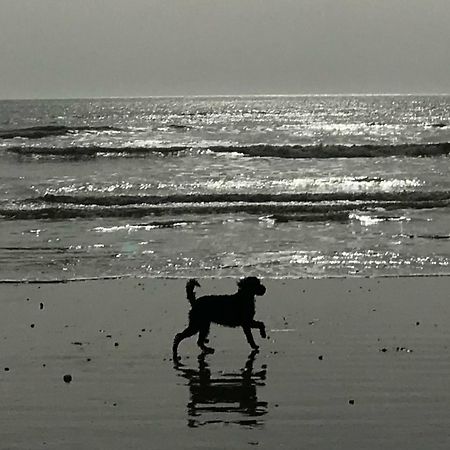 Elegant York House - On A Beach Road, Sleeps 12, With Sea Views Worthing Buitenkant foto
